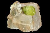 Lustrous, Yellow Apatite Crystal on Calcite - Morocco #107890-1